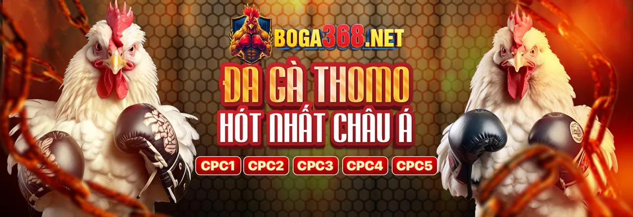 Các loại Cookie khác nhau được sử dụng bởi 66ff đăng nhập